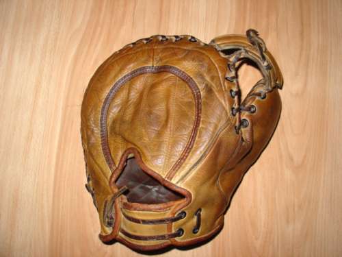 Moose Foster BC Back